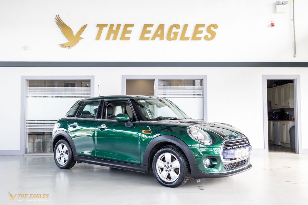 2016 Mini Other
